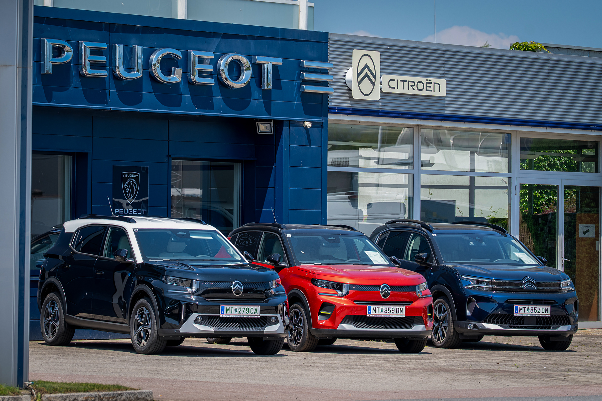 autoholzer_13062025-232 Kopie